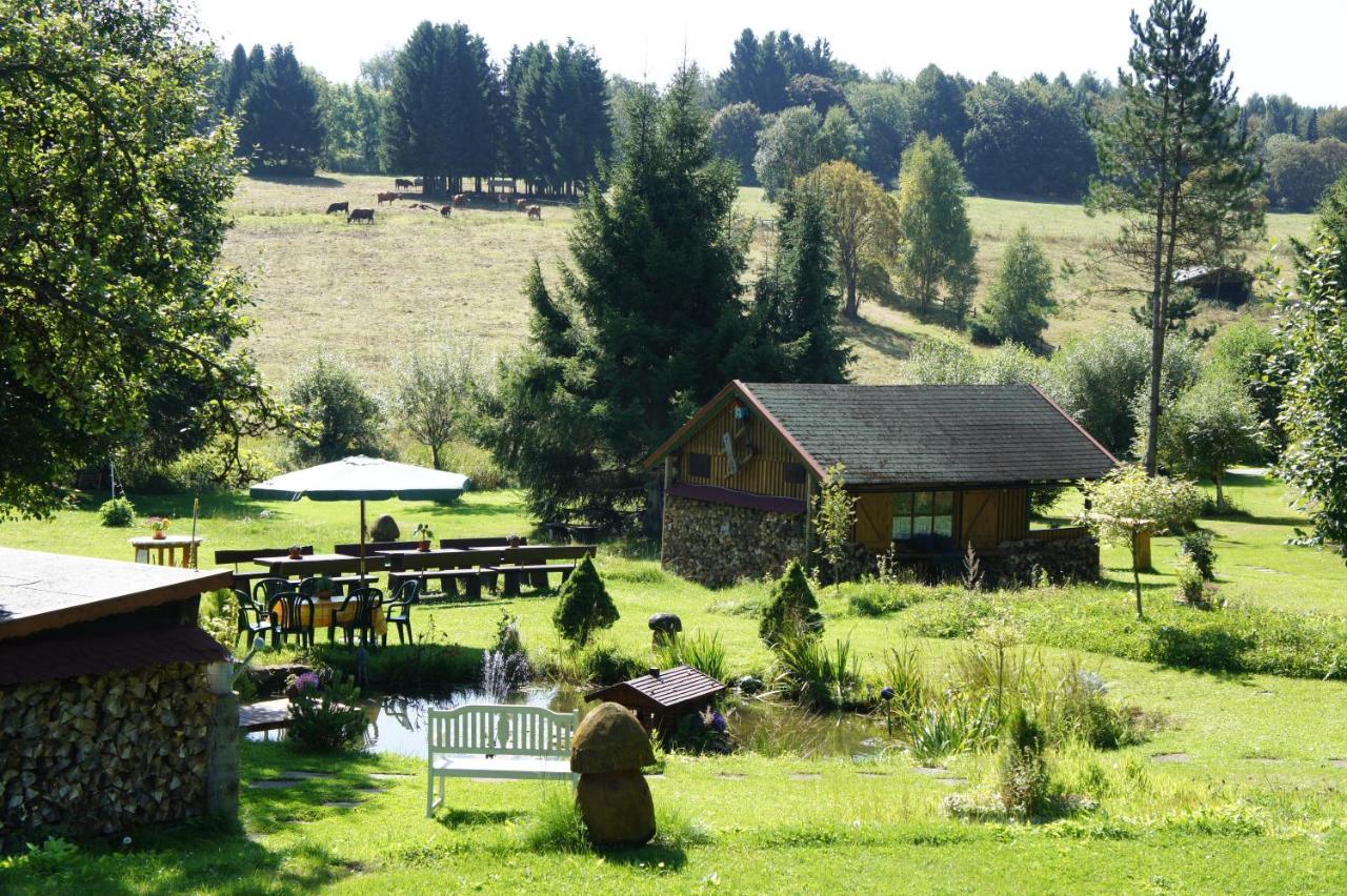 Villa Am Paulsberg Braunlage Dış mekan fotoğraf