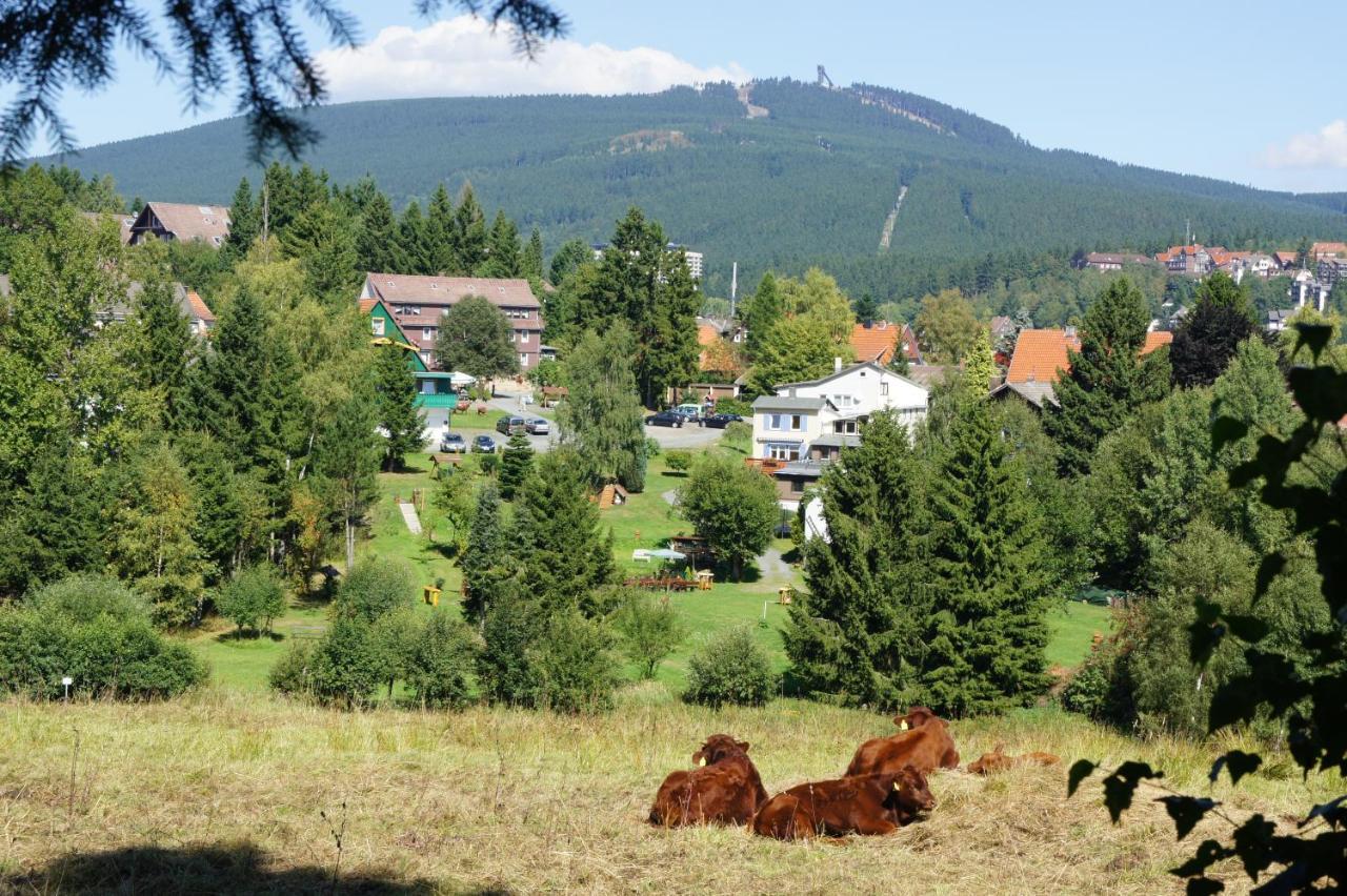 Villa Am Paulsberg Braunlage Dış mekan fotoğraf